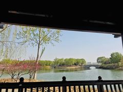 -大兴滨河森林公园