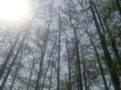 -绵阳人民公园(涪城区)
