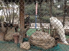 -陕西自然博物馆