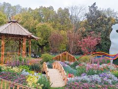 -上海共青森林公园