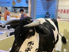 -红星前进面包牛奶公司(君太店)