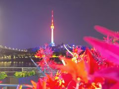 -武汉两江游览·夜游长江(汉口粤汉码头)