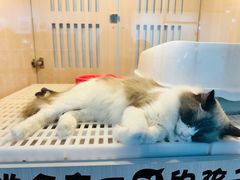 -乐宠宠物店(世纪金源店)