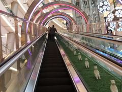 -红星美凯龙(上海沪南店)