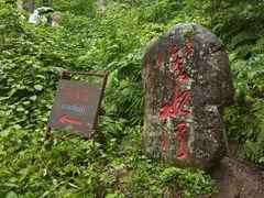 -五营红松林海景区