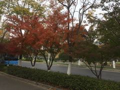 -无锡市市民中心