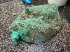 -二0二李记南瓜田鸡老字号(宜宾一店)