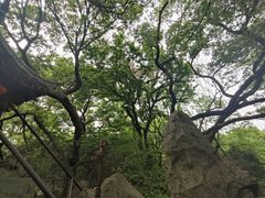 -绮园景区