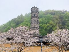 -紫阳古街