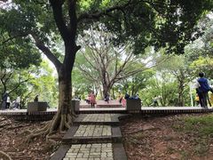 -天河儿童公园