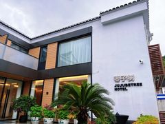 -枣子树·素食餐厅(普陀山店)