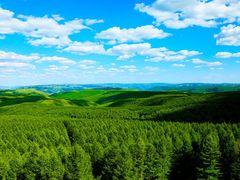 -塞罕坝国家级自然保护区