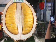 -都念榴莲·城市榴莲