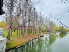 -梁鸿国家湿地公园