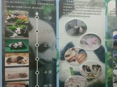 -贵阳牛肉米粉面(汶川店)