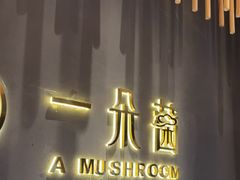 -一朵菌·野生菌探索家火锅(南亚店)