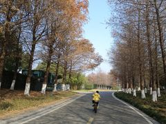 -苏州东太湖生态园