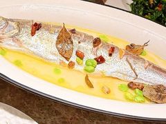 -同仁堂粹和餐厅·食养养生宴(新大都店)