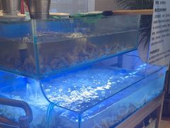 -海天盛宴新派海鲜自助餐厅(群力店)