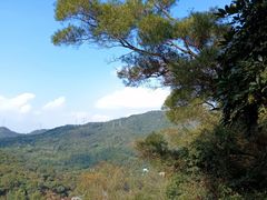 -梧桐山风景名胜区