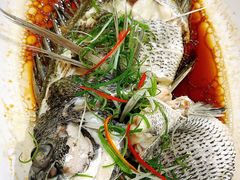 -华兴大酒楼(亿宝大厦店)