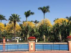 -仙湖旅游度假区