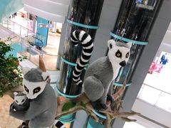 -大族广场Mall&More