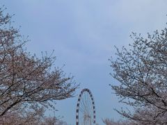 -自然谷恐龙园