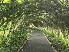 -广西壮族自治区药用植物园