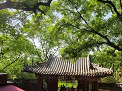 -华清宫景区
