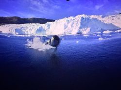 -翱翔飞越地平线