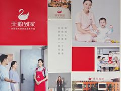 -天鹅到家·保姆月嫂育儿嫂(总店)