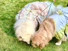 -上海神旺大酒店