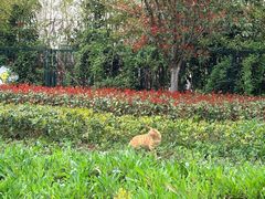 -宁波儿童公园(鄞州区)