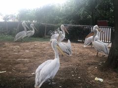 -无锡动物园·太湖欢乐园