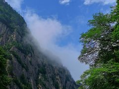 -青峰峡国家森林公园