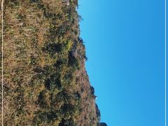 -七娘山