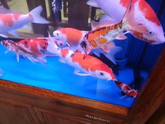 -东来菜馆•手抓海鲜家常菜•海鲜锅贴(鸽子窝店)