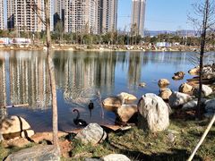 -云南艺术学院(呈贡校区)