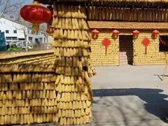 -北戴河集发农业梦想王国