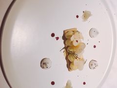 -蝶舍·MAISON PAPILLON