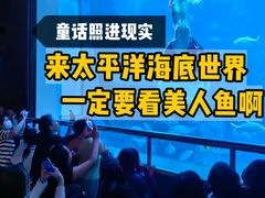 -太平洋海底世界