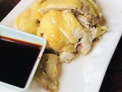 -四季春