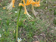 -漩门湾国家湿地公园