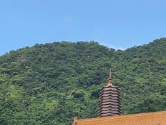 -深圳仙湖植物园