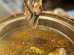 -千岛蚝高压锅生蚝·人参火锅(白云万达店)