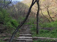 -老象峰