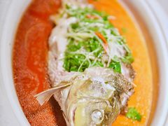 -阿五黄河大鲤鱼(纬三路店)