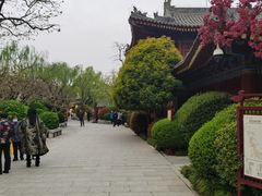 -华清宫景区
