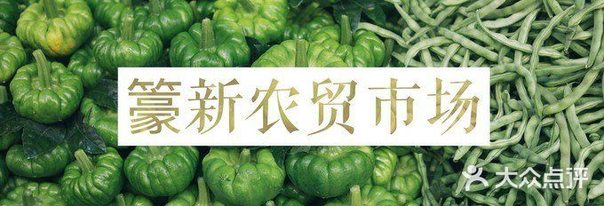 到处都洋溢出努力生活的喜悦